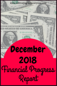 http://herthrivingjourney.com/december-2018-financial-progress-report/