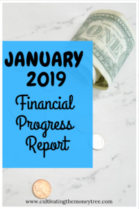 http://herthrivingjourney.com/january-2019-financial-progress-report/