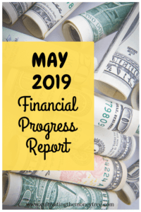 May 2019 Financial Progress Report Pin