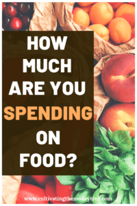 How Much Are you Spending On Food