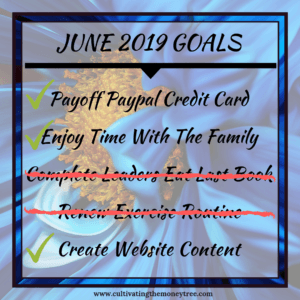 June 2019 Financial Progress Report Monthly Goal Results