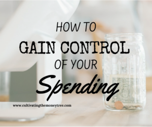 https://www.cultivatingthemoneytree.com/how-to-gain-control-of-your-spending/