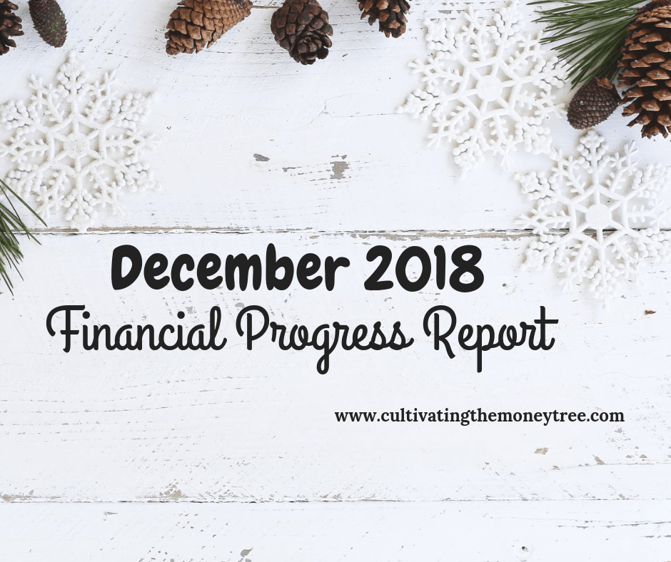 http://herthrivingjourney.com/december-2018-financial-progress-report/