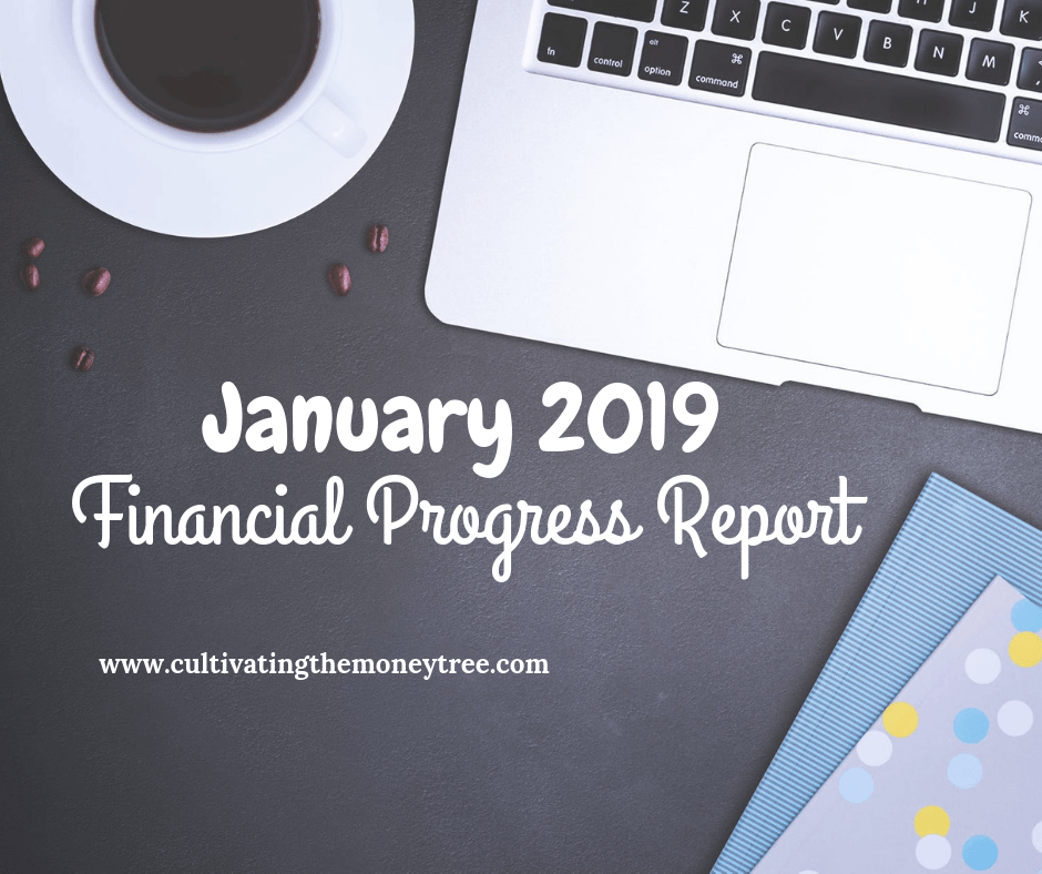 http://herthrivingjourney.com/january-2019-financial-progress-report/