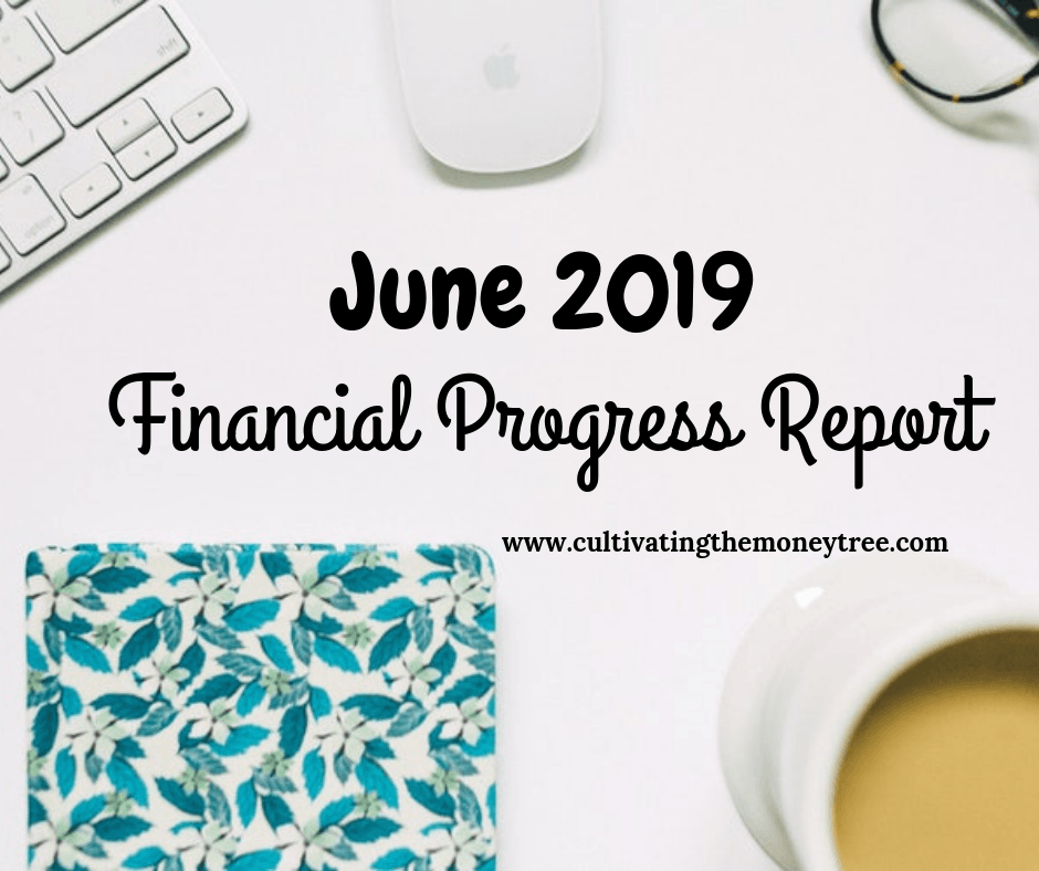 June 2019 Monthly Financial Progress Report